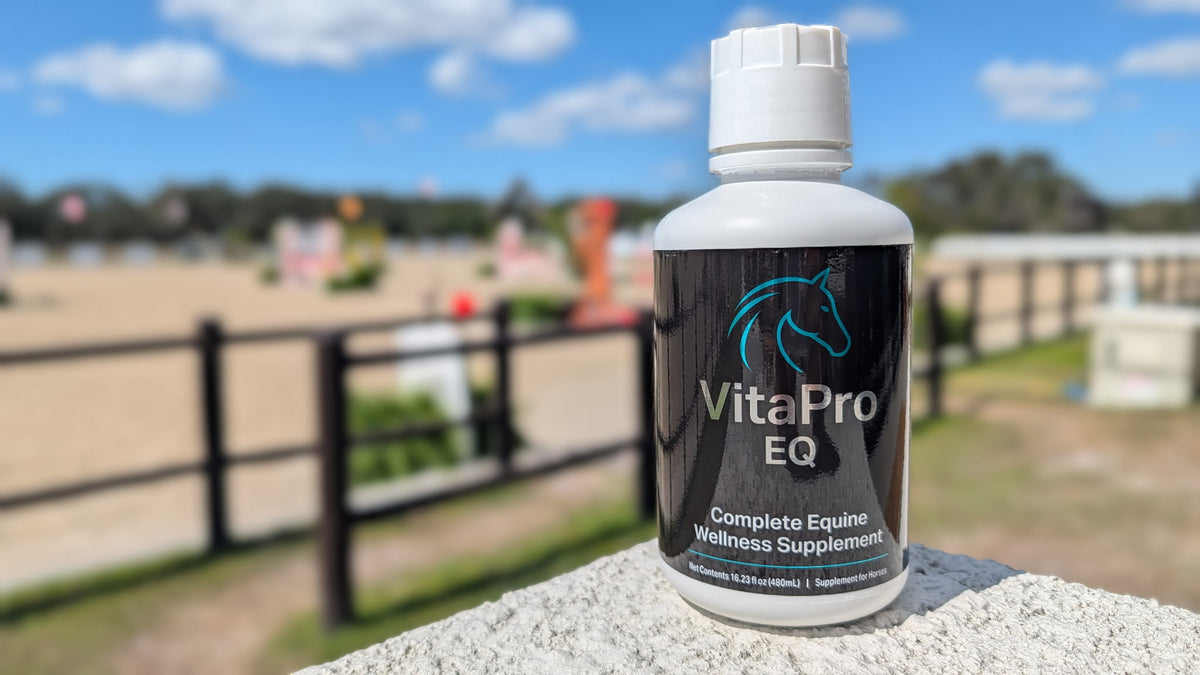 VitaPro EQ — Complete Equine Wellness Supplement