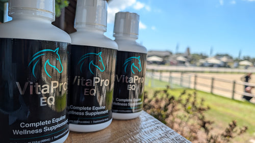 VitaPro EQ — Complete Equine Wellness Supplement